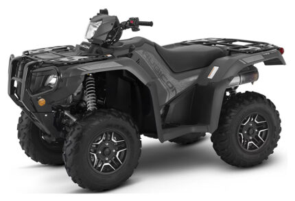 Honda FourTrax Foreman Rubicon